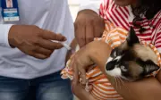 Vacinação antirrábica gratuita para cães e gatos em Aracaju neste fim de semana