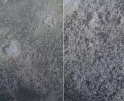 Vídeo mostra grande concentração de larvas na Lagoa de Araruama, em São Pedro da Aldeia