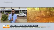 Vídeos do JA 1ª Edição de Goiás: 15 de maio de 2026