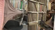 Vinil volta a ganhar força no mercado fonográfico em Teresina