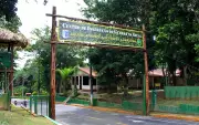 Zoológico do Cigs em Manaus fecha para manutenção e reabre com festa de aniversário de onça