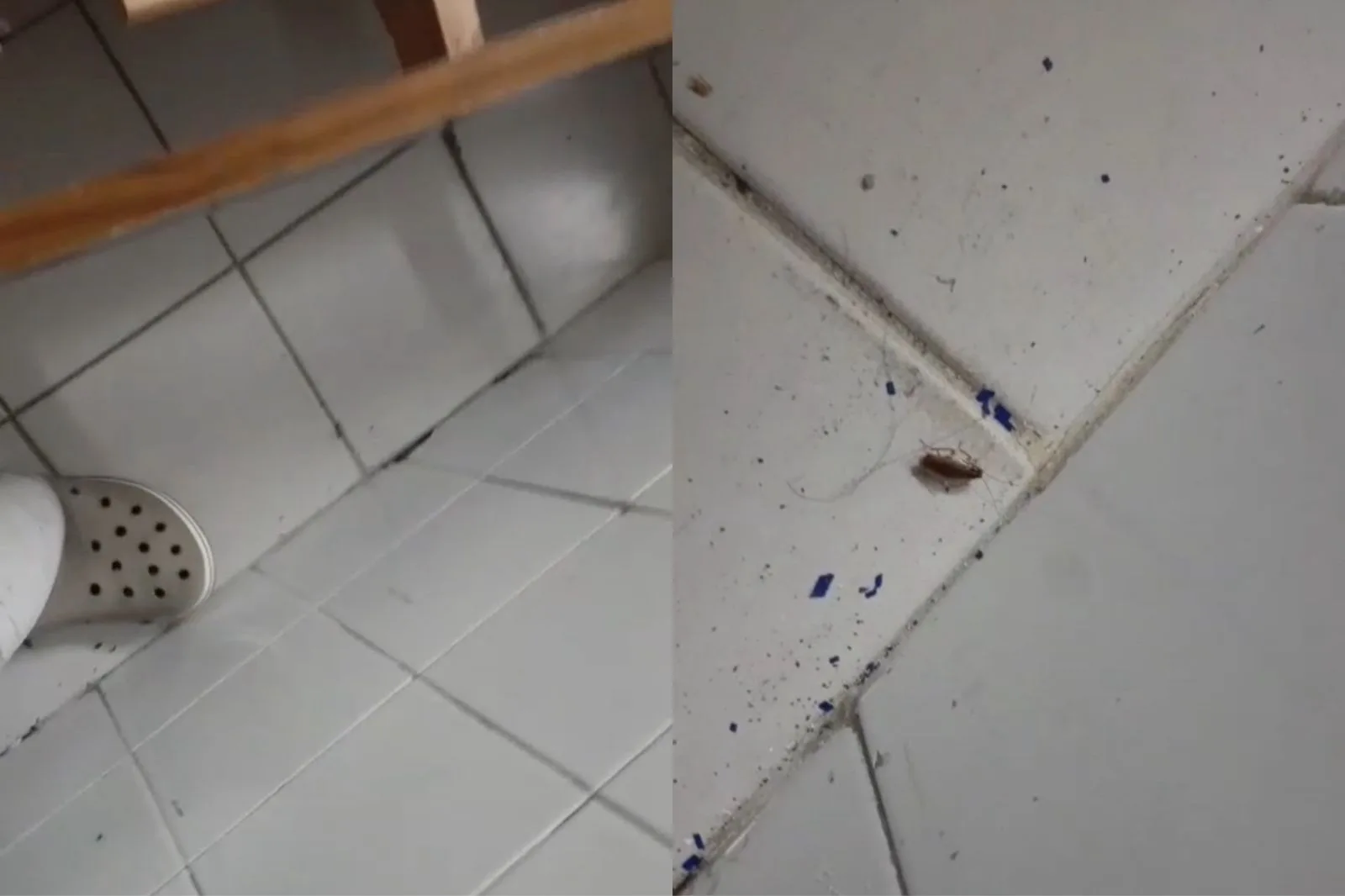 Baratas em sala de repouso da UPA do Satélite em Teresina são flagradas por técnico de enfermagem