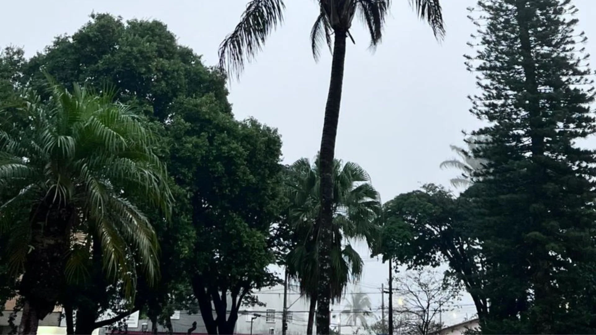 Frio polar derruba temperatura no Triângulo Mineiro para 1,7°C