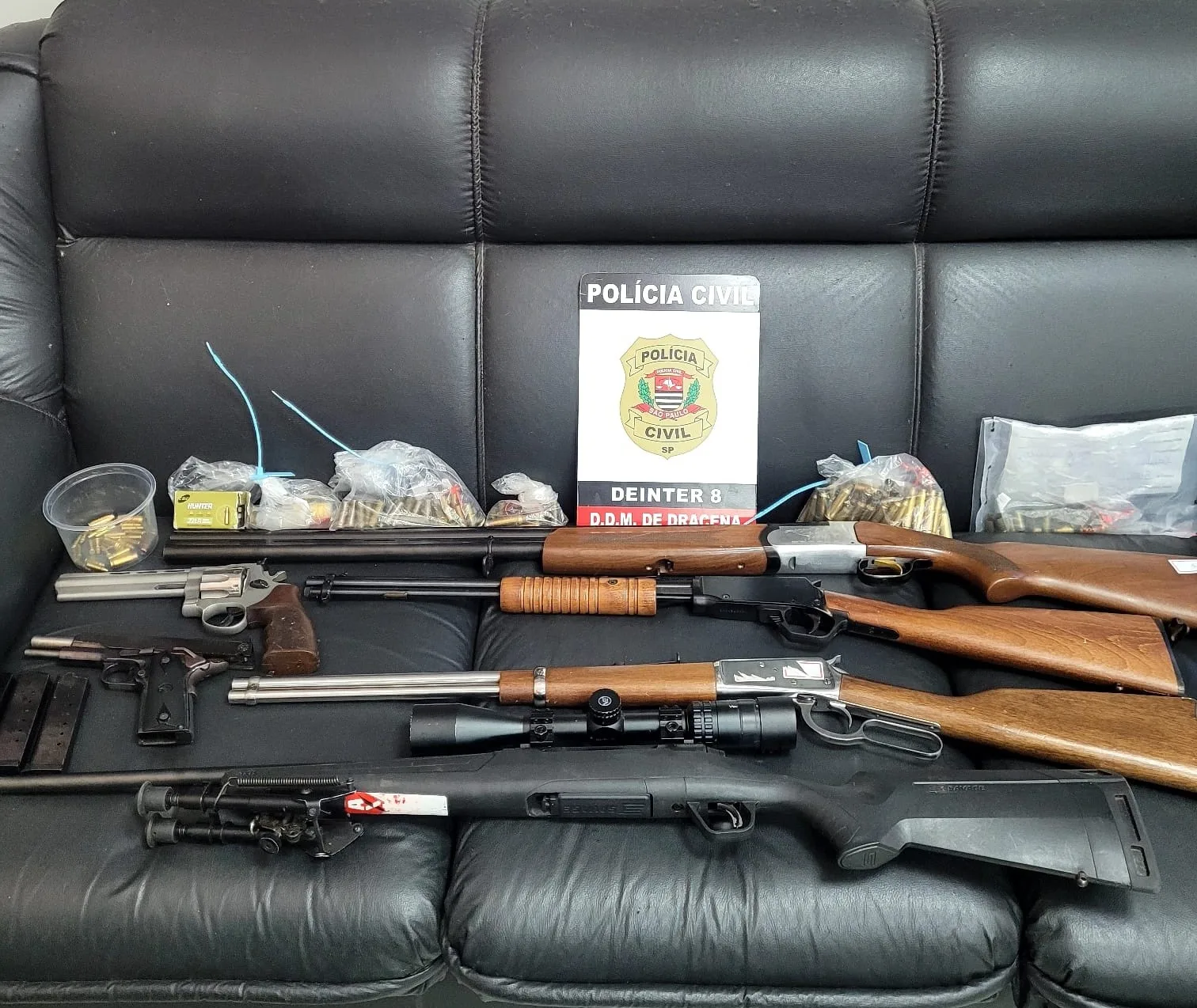 Polícia Apreende Seis Armas em Caso de Violência Doméstica em Dracena
