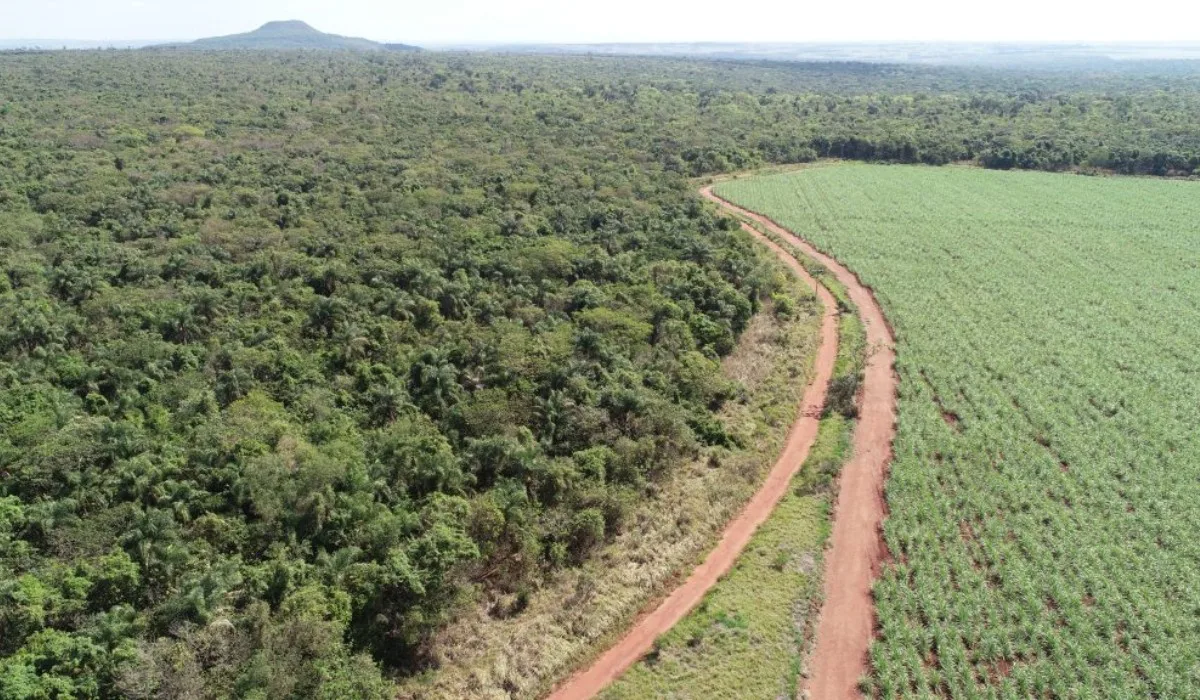 R$ 7,3 milhões para restaurar 700 hectares em assentamentos do Pontal do Paranapanema