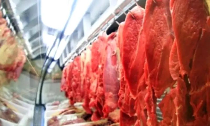 UE retira Brasil de lista de exportação de carnes e produtos animais