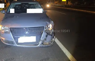 Adolescente de 12 anos morre atropelado em rodovia em Pontal