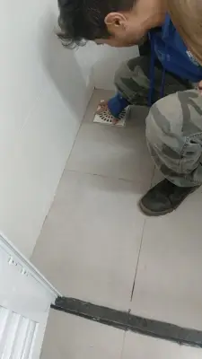Aumento de escorpiões em Araraquara: saiba como se proteger