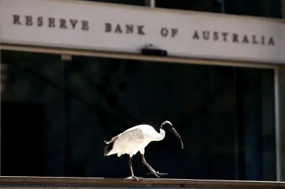 Austrália confirma segundo caso de gripe aviária H5