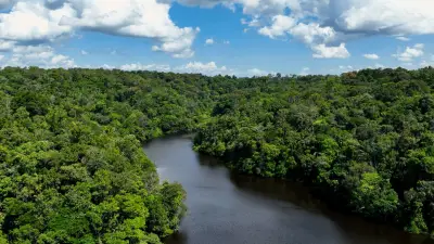 BNDES impulsiona restauração florestal com R$ 8,3 bilhões