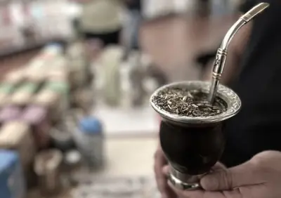 Buenos Aires sedia 1º Concurso Mundial de Erva Mate com 460 amostras