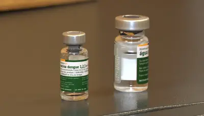 Campinas mantém vacinação contra dengue com Qdenga após suspensão do Butantan