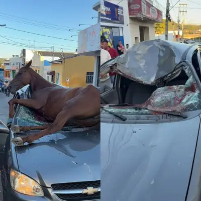 Cavalo desgovernado salta sobre carro e amassa teto em Alagoas