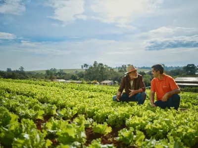 Cresol lança campanha institucional voltada ao agronegócio