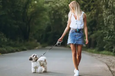 Dog nanny: nova profissão em alta entre tutores de pets