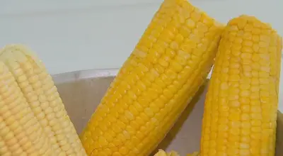 Duas receitas juninas práticas e econômicas com milho