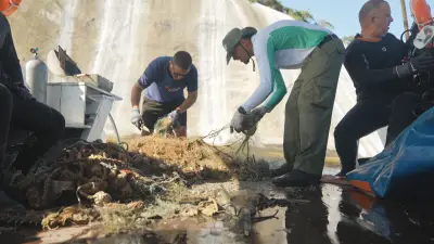 Expedição remove redes fantasmas que ameaçam vida marinha nas Ilhas Cagarras