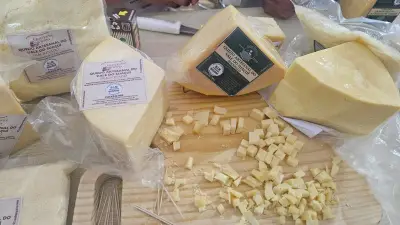 Festival do Queijo Artesanal de Minas Gerais reúne 14 regiões em BH