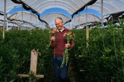 Flor tem origem: o mercado que o Brasil ainda não vê