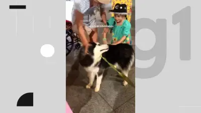 Grupo de tutores leva cães para o São João em Campina Grande