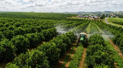 Gulf participa da Bahia Farm Show com produtos certificados e inovação