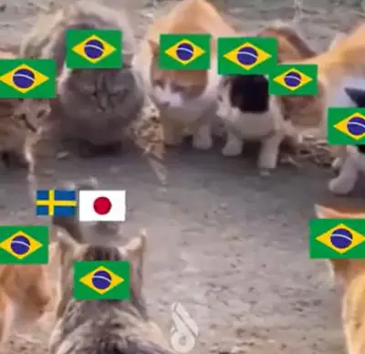 Japão empata com Suécia e enfrentará Brasil nas oitavas; memes tomam conta