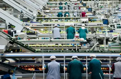 Juros altos travam indústria e inovação no Brasil, aponta análise