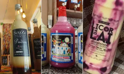 Licores 'diferentões' da Bahia: cupuaçu com pitaya e pistache