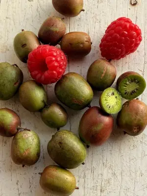 Minikiwis e minifrutas: tendência impulsionada por lares pequenos