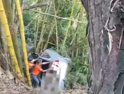 Motorista escapa após carro cair em ribanceira na RJ-220