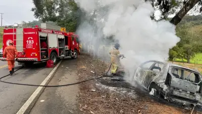 Motorista fica ferido após carro bater em árvore e pegar fogo na RJ-220