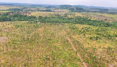 MPRO pede R$ 90 milhões por desmate de área equivalente a 1.700 campos de futebol