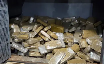 ONU alerta: produção global de cocaína quadruplica em uma década
