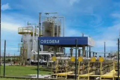 Origem da energia: mandato de banco vai além da busca de sócios