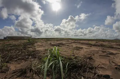 Pernambuco decreta emergência em 75 municípios por estiagem
