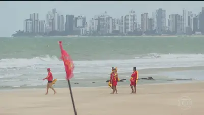 Pernambuco retoma monitoramento de tubarões após dois ataques no mar