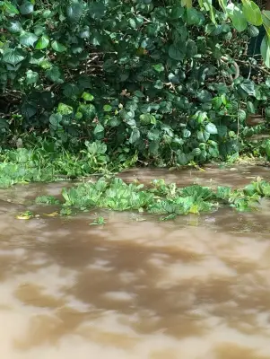 Pescador de 65 anos é encontrado morto na Lagoa Mundaú, em AL