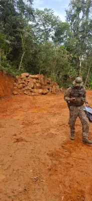 Polícia Ambiental flagra degradação em área de preservação em Paraty
