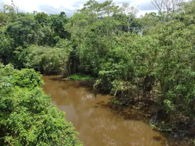 Poluição atinge toda a extensão do Rio Tietê a partir de Mogi das Cruzes