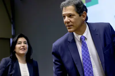 Pressão no PT para Tebet ser vice de Haddad em SP cresce