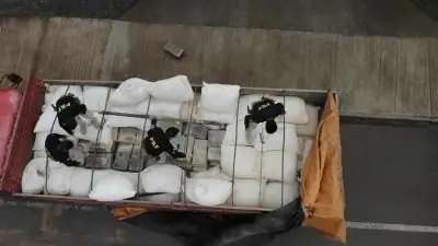 Quase 800 kg de maconha apreendidos sob carga de ração na BR-386