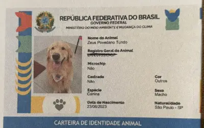 RG Pet: cadastro nacional com QR Code ajuda a localizar animais perdidos
