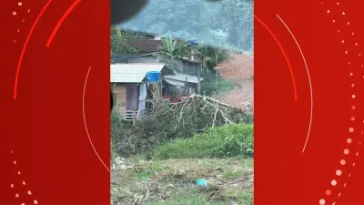 Árvore caída sobre fiação elétrica causa curtos e preocupa moradores em Macapá