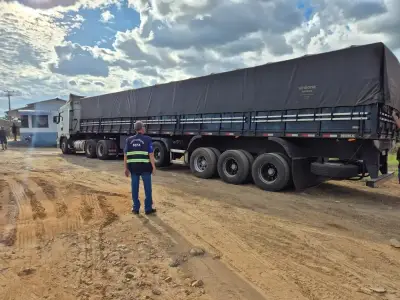 Sefa apreende 43 mil toneladas de soja em Santarém; multa supera R$ 30 milhões