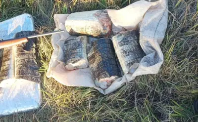 Sema apreende 17 kg de carne de jacaré e rifle em Poconé
