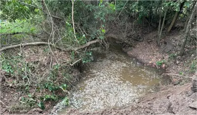 Sitiante é multado em R$ 1,5 mil por degradar APP com retroescavadeira em Pirapozinho
