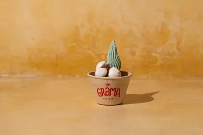 Sorveteria vegana 'Grama' aposta em sabores vegetais e festa junina em SP