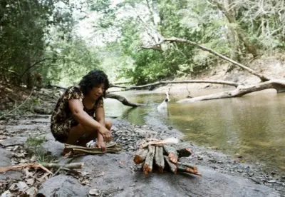 STF determina desintrusão da Terra Indígena Cachoeira Seca no Pará em 90 dias