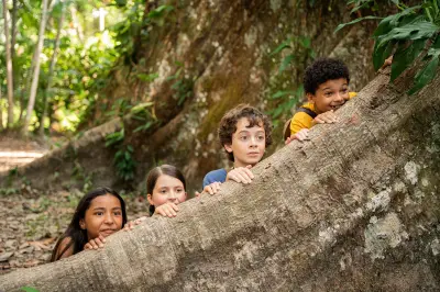 Sucesso de obras infantojuvenis brasileiras revela alta demanda por conteúdo nacional