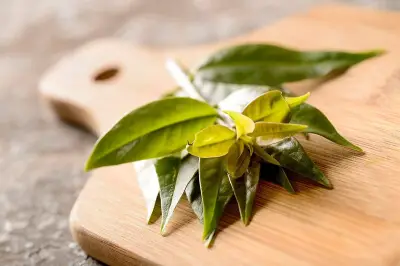 Suco de ora-pro-nóbis com maçã: benefícios e receita prática